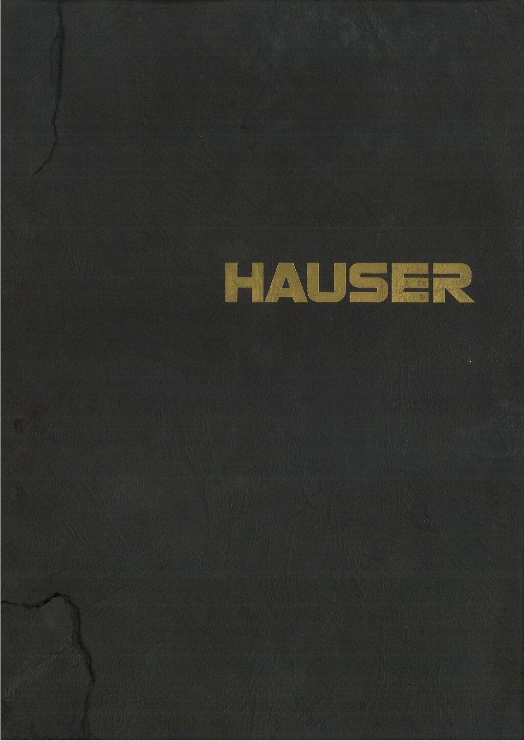 Hauser table circulaire inclinable 200mm